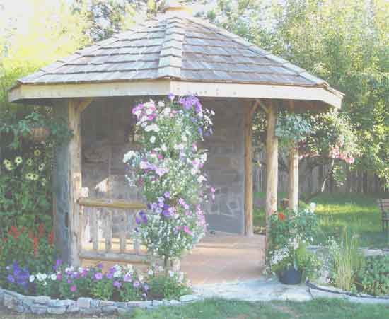 Log Frame Gazebo